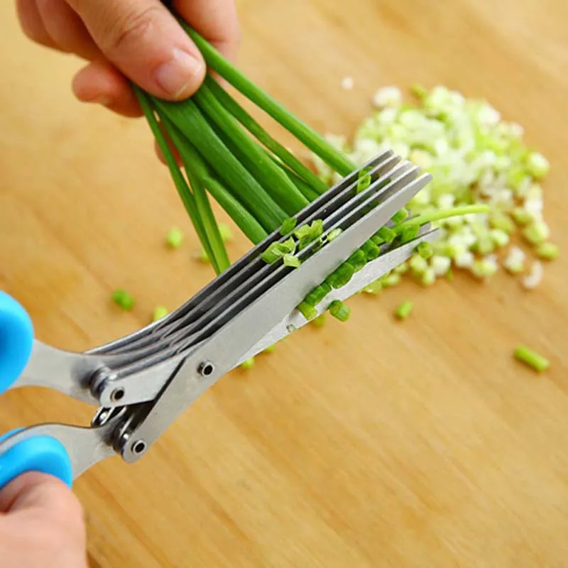 Herb Scissors 5 Blade - 5 Layers Blade Scallion Scissors Multifunctional