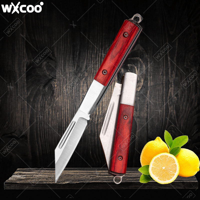 Stainless Steel Pocket Knife R - đánh giá và giá Kitchen Gadgets China
