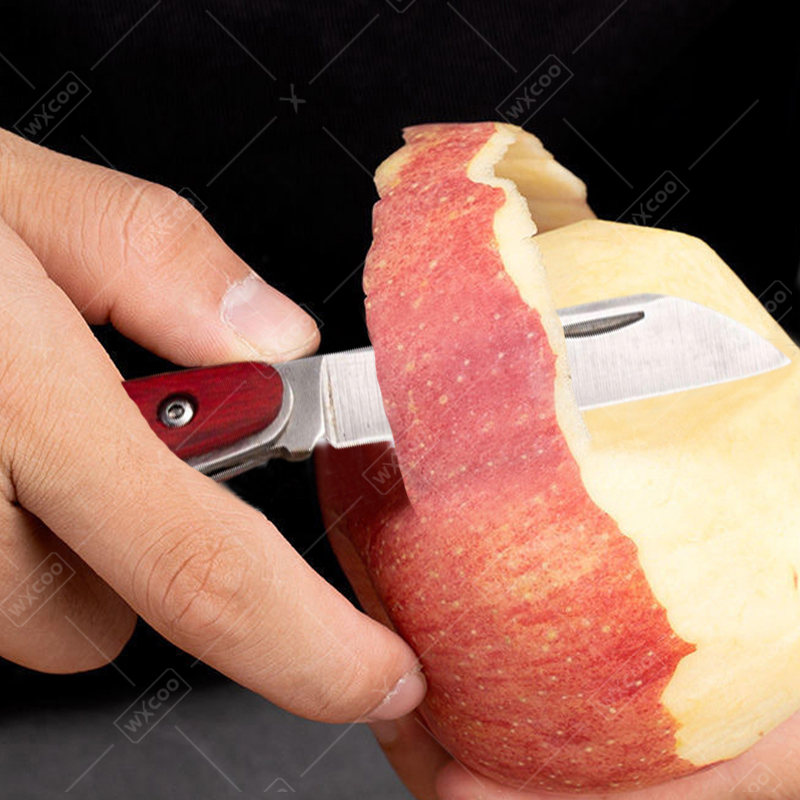 Stainless Steel Pocket Knife R - đánh giá và giá Kitchen Gadgets China