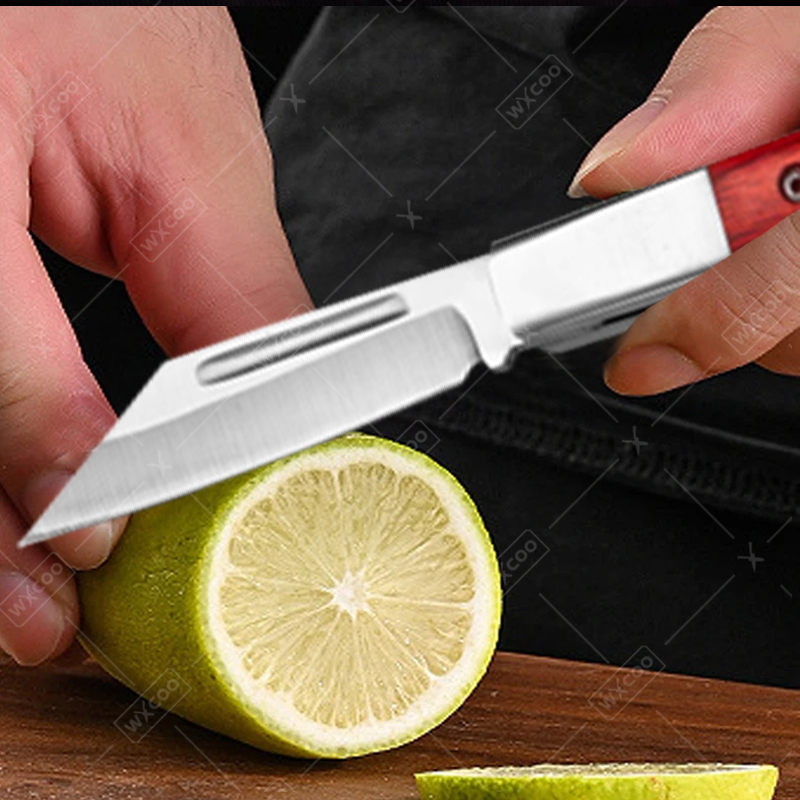 Stainless Steel Pocket Knife R - đánh giá và giá Kitchen Gadgets China